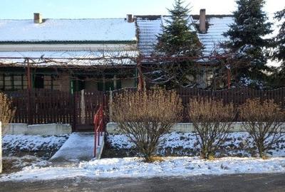 Casa cu 5.000 mp teren la E 60, zona Osorhei - 20