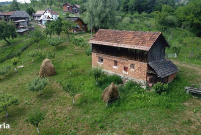 Spațiu comercial, în Cicănești - 3