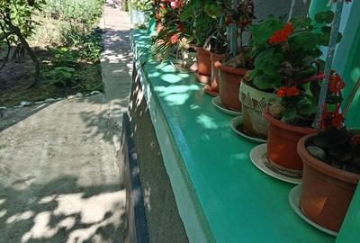 Casă cu 3 camere cu Teren 400 Mp în Central - 3