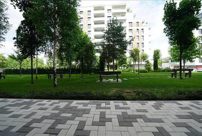 Spațiu comercial, de 208 mp, în Nufărul - 7