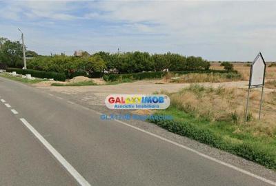 Teren Cuza Voda Calarasi 7 Ha extravilan vecin Canal Irigat - 5