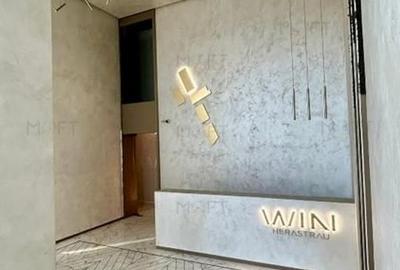 Apartament cu 2 camere semidecomandat, mobilat în Herăstrău - 12