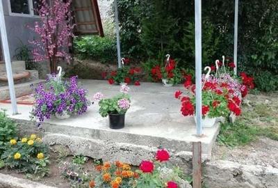 Vand casa cu gradina in bontida 2camere hol bucatarie baie terasa,internet,supraveghere video,Banfy - 6