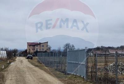 TEREN  INTRAVILAN 5,000mp ORAS CISNADIE  STR.  SELIMBARULUI - 5