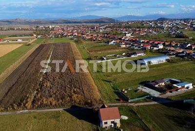 Teren de 3000 mp, în Bod - 3