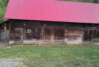 Casa ?araneasca de vanzare, Avram Iancu, Alba - 9