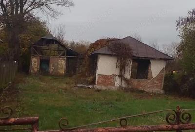 Teren de 2700 mp, în Dumbrăvești - 4