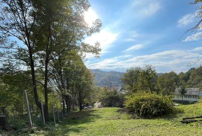 Spațiu comercial, în Provița de Jos - 2