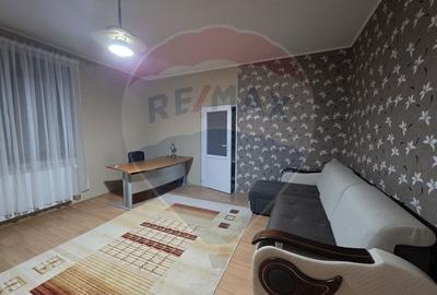 Inchiriere casa cu terasa si curte zona Piata Mica Spitalul Judetean - 8