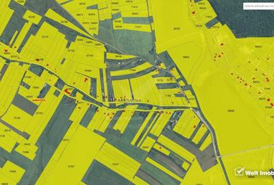 Teren 2371 mp, Apahida-Campenesti, expunere Sudica, Biserica de Lemn - 4