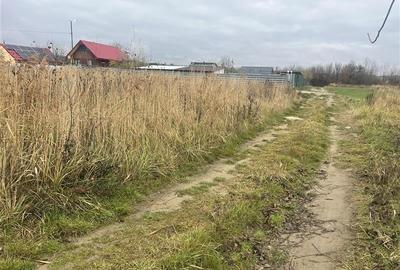 Hemeius- teren 500 mp- 18 ml deschidere! - 5