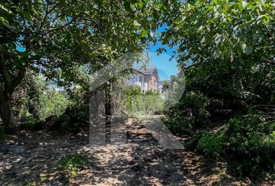 DE VANZARE CASA + TEREN in Dobroestiul (Vechi) - 8