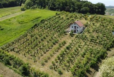 Casă cu 4 camere în Grebenișu de Câmpie - 7