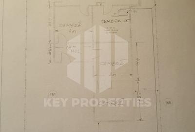 Samurcasi, str. Guliei, casa parter cu teren - 2431 mp - 8