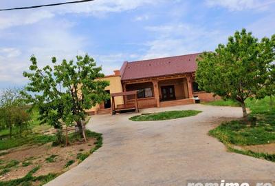 Teren de 95000 mp, în Satchinez - 6