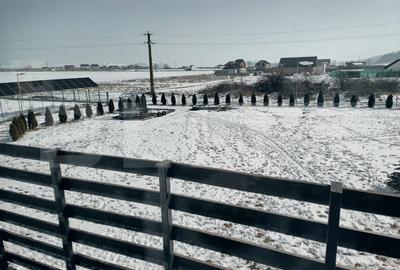 Casa Ta de Vis cu Teren Generos In Com Bod - 16