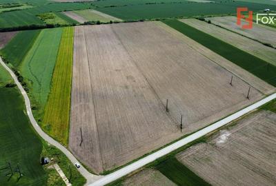 Teren Construcții intravilan de 40600 mp, în Bucovăț (Remetea Mare) - 5