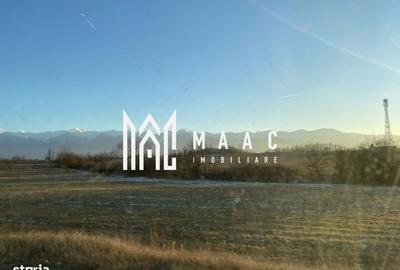 Casă cu 8 camere cu Teren 1629 Mp în Central - 2