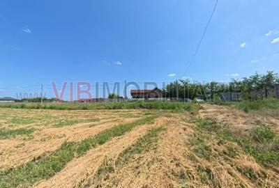 Racari - Teren - 13659 mp - intravilan - constructii - 2