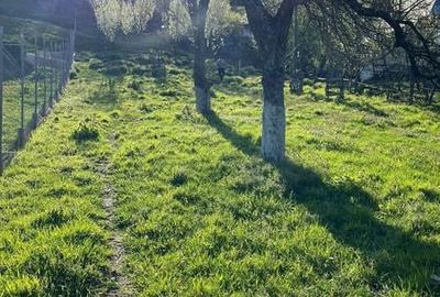 Teren de 1365 mp, în Berislăvești - 5