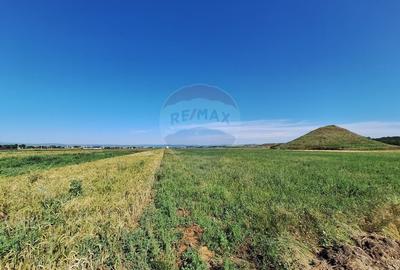 Teren intravilan Maracineni / Strada Manga
