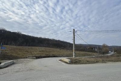 Teren de 600 mp, în Corunca - 4