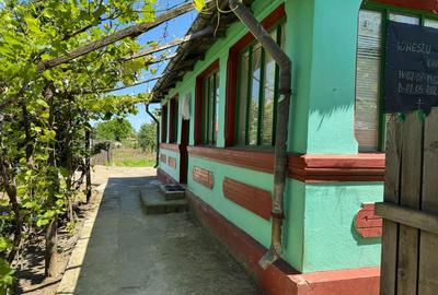 Casă cu 4 camere în Ulmu - 6