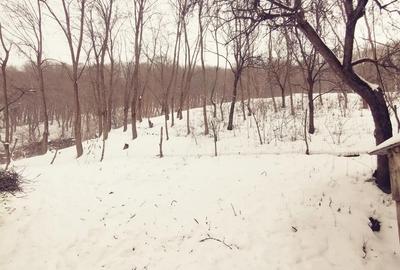 Casă cu Teren 1592 Mp în Sărățel - 2