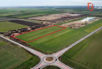 Teren de 25000 mp, în Est - 9