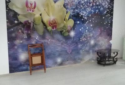 Apartament 4 camere decomandat, 2 bai, 1 boxa mare - Iasi - 1