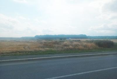 Teren Intravilan Constructii de 12.300 mp, Cu Deschidere la Sosea Asfaltata - 17