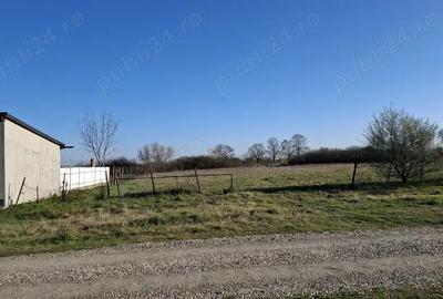 Teren intravilan Turnu - 3