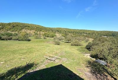 Casă individuală cu 4 camere cu Teren 800 Mp în Florești - 10