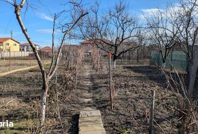 Casă cu 6 camere cu Teren 955 Mp în Gai - 2
