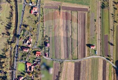 Teren extravilan Petros /  Baru ,jud Hunedoara - 5
