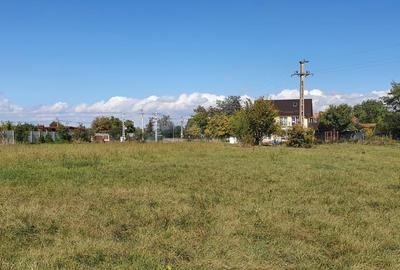 Spațiu comercial, în Cărpiniș - 2