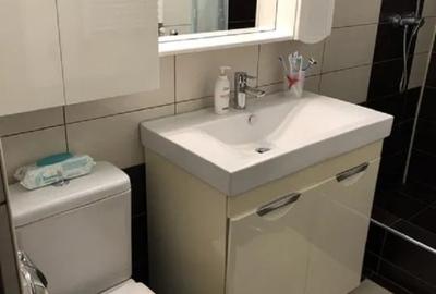 Apartament 1 camera zona Palas Mall - 5