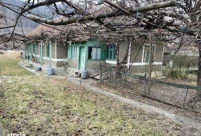 Casă cu 2 camere în Văleni - 7