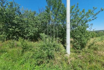 EXCLUSIVITATE! Teren la șoseaua principală | Tocile - 5