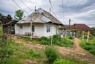 Teren Construcții de 13434 mp, în Ardeoani - 6