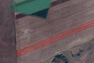 Teren agricol extravilan de 9968 mp, în Sânandrei - 3