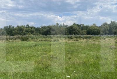 Teren de 1000 mp, în Central