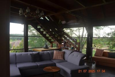 Casă individuală cu 4 camere cu Teren 1458 Mp în Paleu - 3