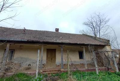 Casă cu Teren 1798 Mp în Iecea Mare - 4