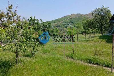 Casă individuală cu 3 camere cu Teren 2205 Mp în Niculițel - 3