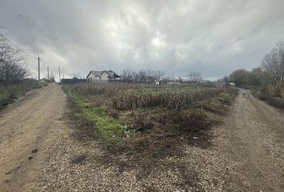 Teren de 2000 mp, în Ileana - 3