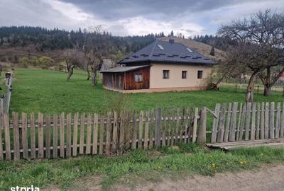 Teren de 7173 mp, în Vatra Moldoviței - 6