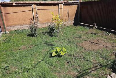 Casă cu 3 camere cu Teren 1347 Mp în Nădab