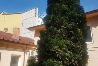 Spațiu comercial, de 350 mp, în Girocului - 3