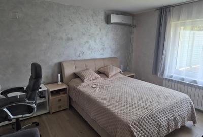 Rosu, deschidere lac, ponton, in spatele padurii, mobilata, utilata, amenajata - 22